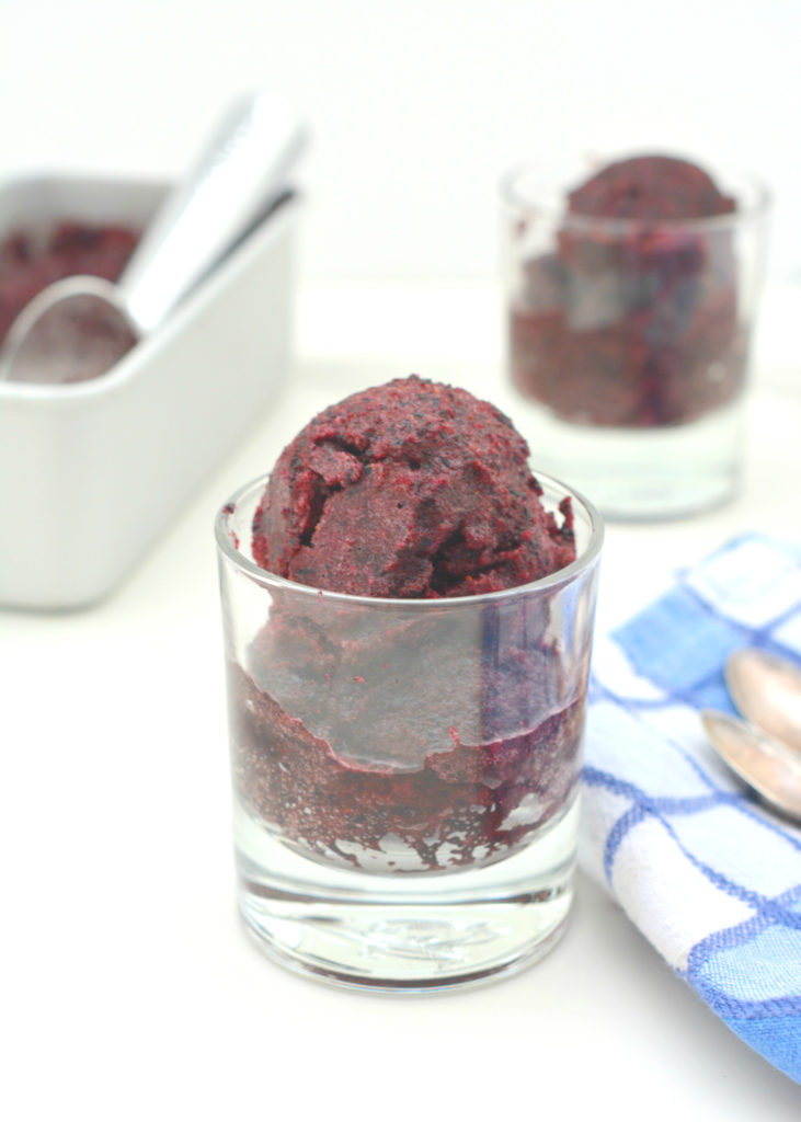 Blueberry sorbet without ice best sale cream maker